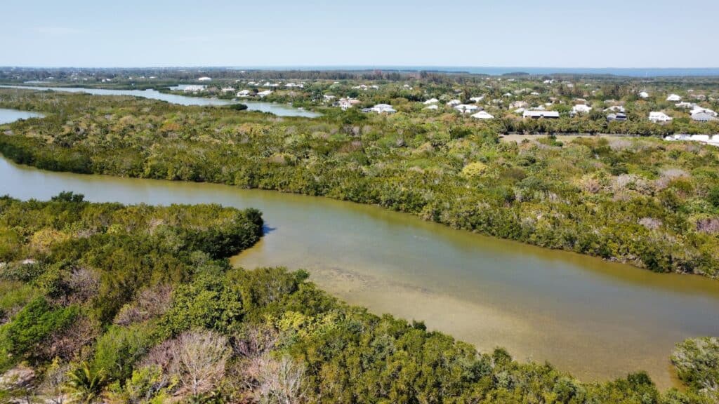 a river running through a lush green forest